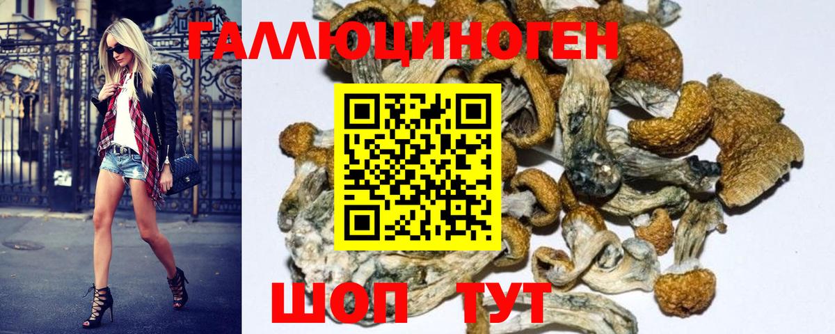 Псилоцибиновые грибы Psilocybine cubensis  сколько стоит  Рязань  Вход с VPN 